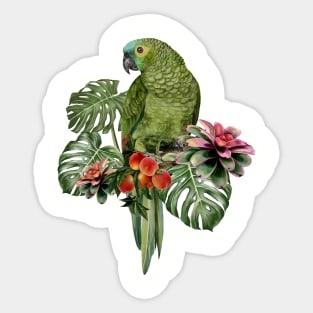 Hand drawn Watercolor of Blue fronted Parrot. Sticker